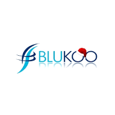 Blukoo UK