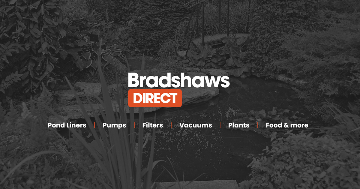 VKTRY Clogs